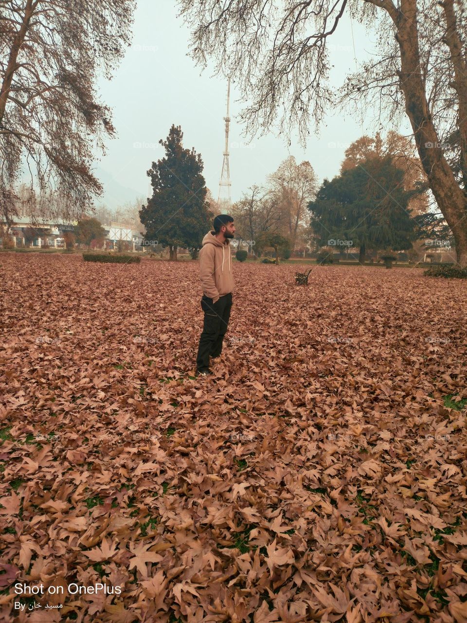 falling in love with this fall