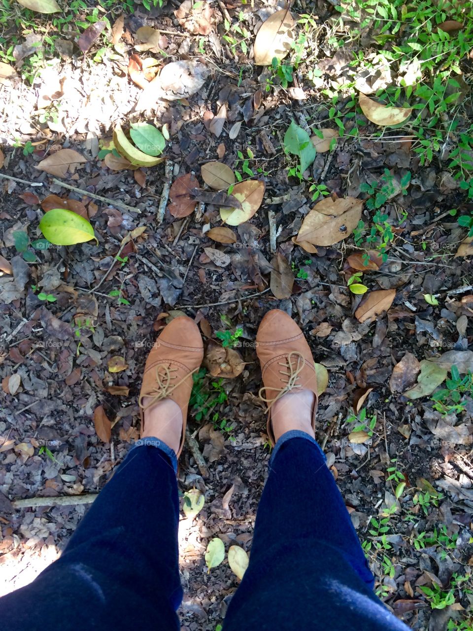 My favorite oxfords on the forest floor, fall. 