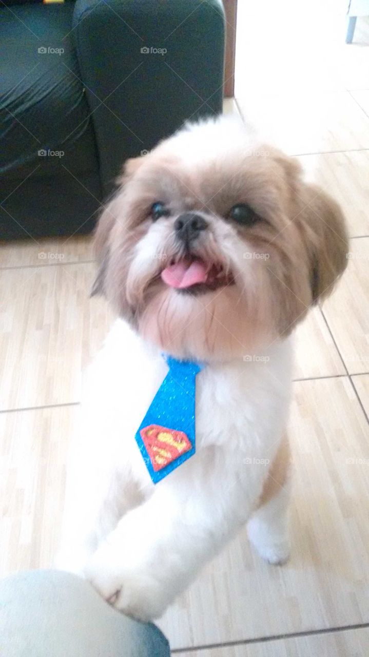 🐕melhor amigo 🐾♥️