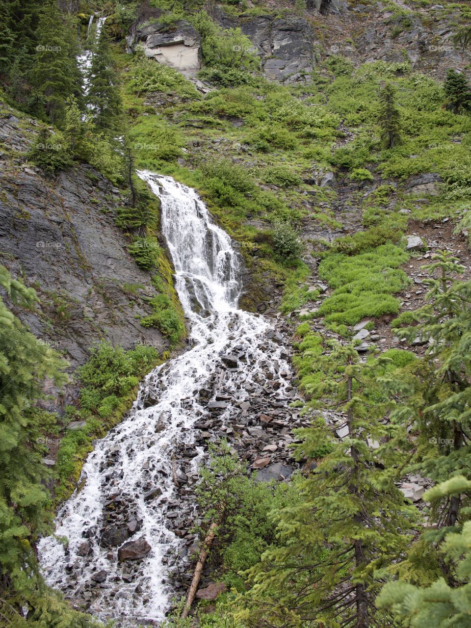 The cold waters of Vadea Falls in Crater Lake National Park look like lightening forking down the mountainside. 