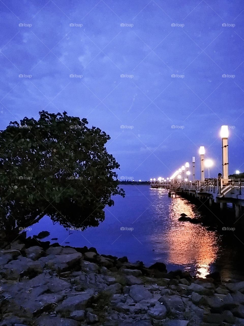 Color : blue - night view on the beach