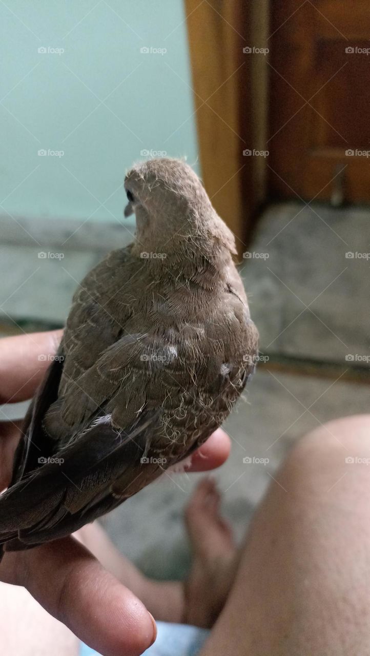 pretty cool soft new life in human hands with pleasure.