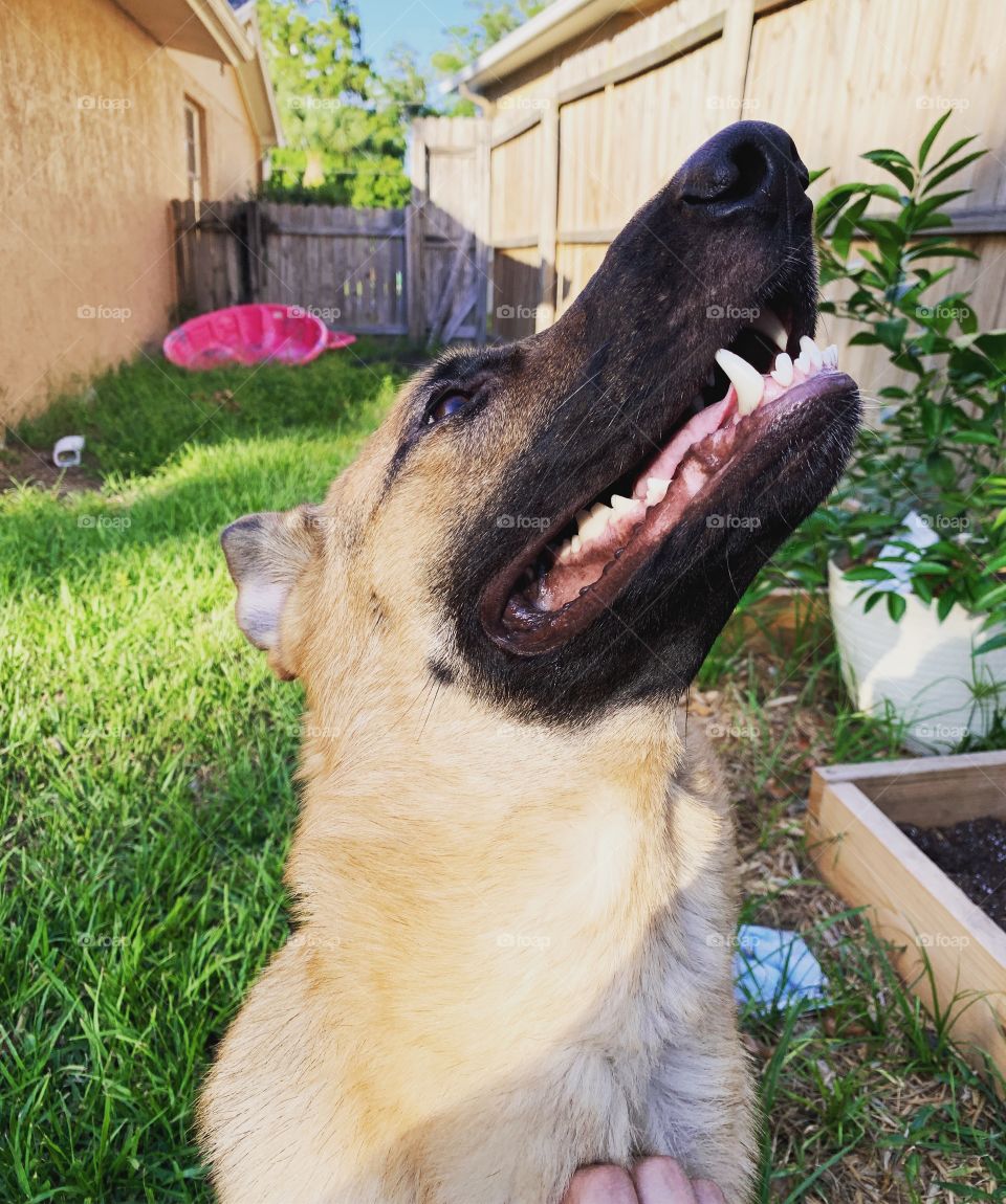 Ready for my close up