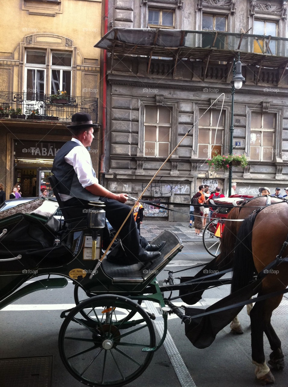 horses urban prague tour by bennyvoodoo