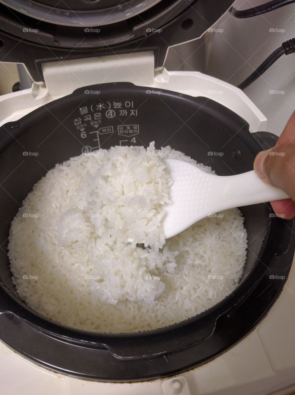 rice