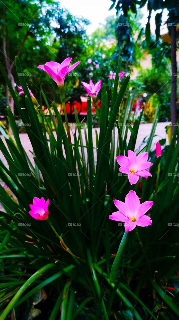 beautiful nature around you