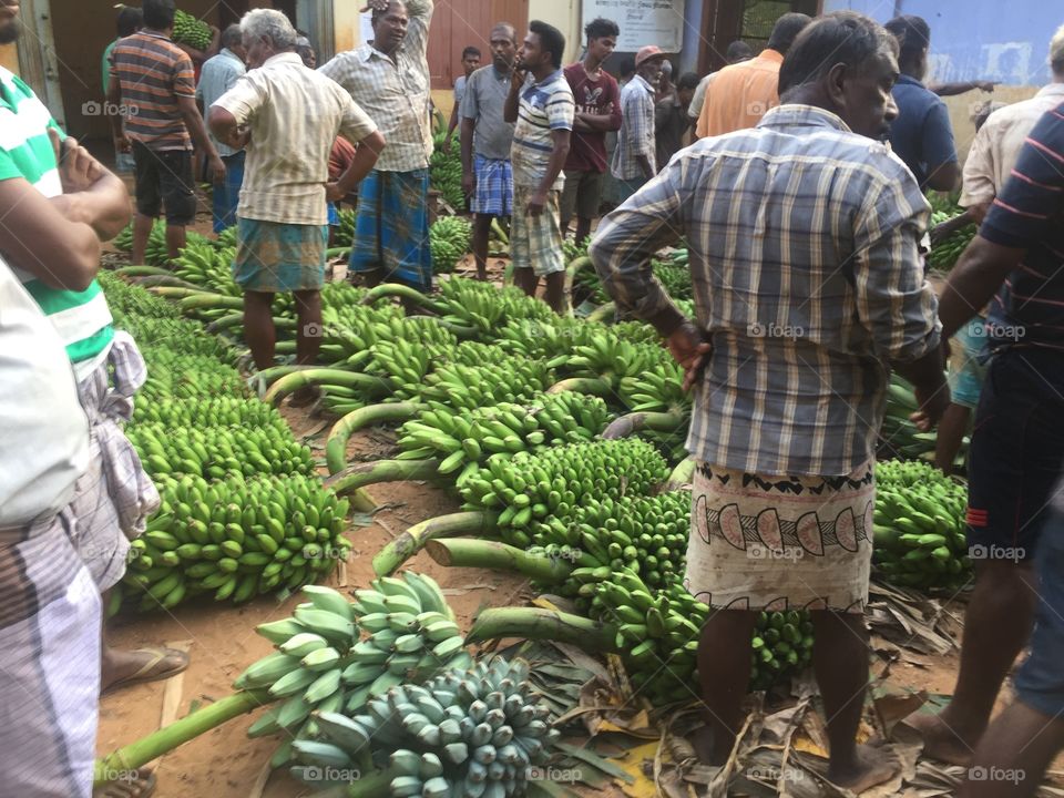 Banana market in srilanka 
