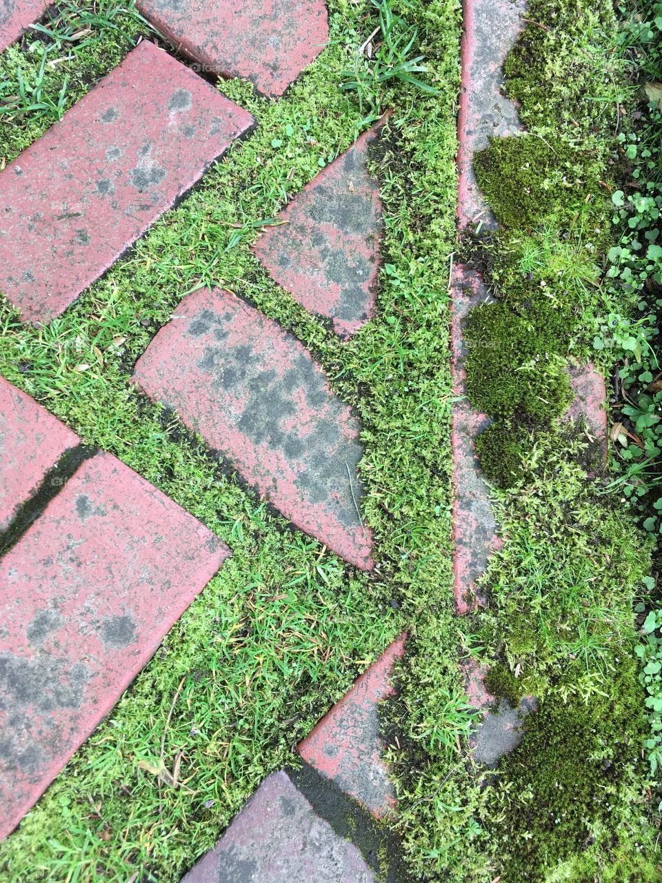 Glensheen Duluth patio brick