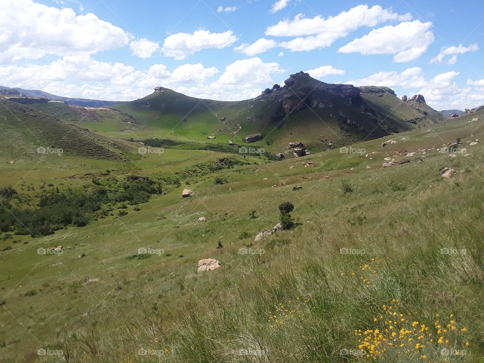 Attractive landscape at summertime near Witzieshoek mountain range.