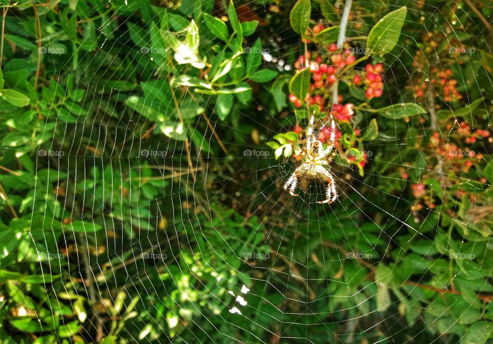 Catch me if you can!