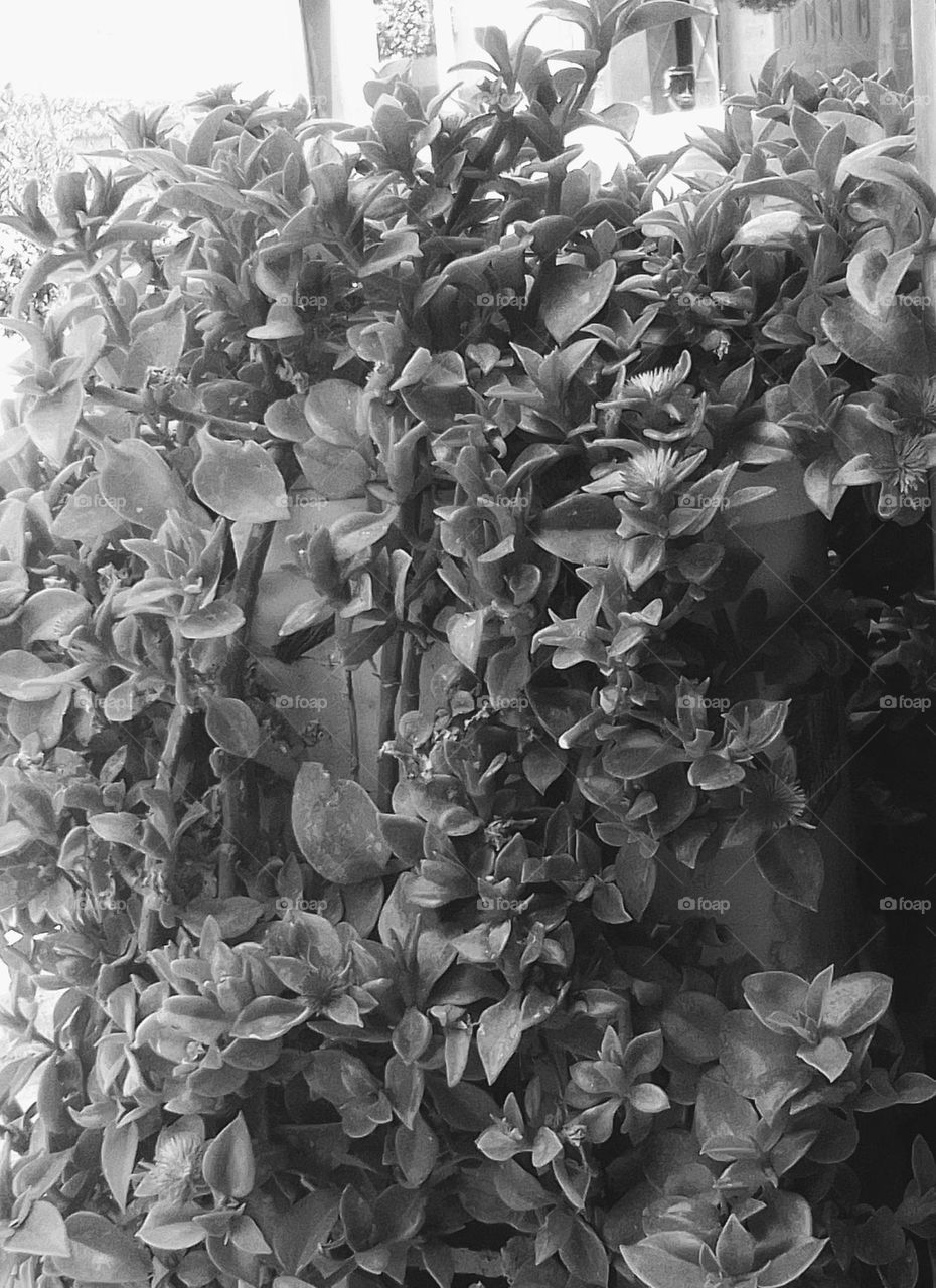 π·οΈπ·οΈπ·οΈπ¦ππππ π πππππΎπ²π±π±π§€π§€π§€πππ©π©πΆοΈπΆοΈπ’π’ποΈποΈποΈβ°οΈβ°οΈβ°οΈββπΉπΉπΉππππββ¬πββ¬πββ¬πΈοΈπΈοΈπΈοΈπ·οΈπ·οΈπ·οΈπ¦π¦π¦π€π€π€π€π€π€π€π€π€π€π€π€π€π€π€π€π€π€π€π€π€π€π€π€π€π€π€β«β«β«β«β«β«β«β«β«β«β«β«β«β«β«β«β«β«β«β«β«β«β«β«β«β«β«β«β«β«β«β«β«β«β«β«β«π€π€π€π€π€π€π€π€π€π€π€π€π€π€π€π€