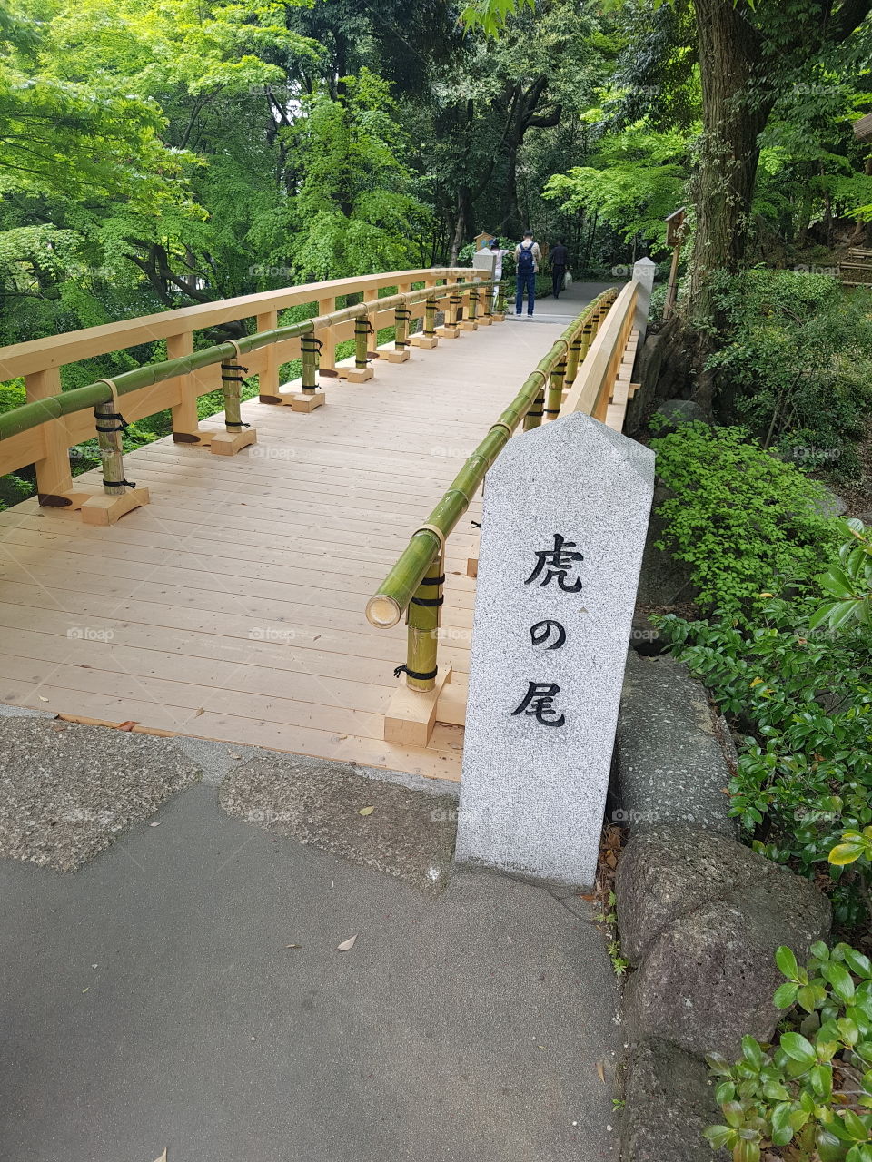 The bridge leading into the Tokugawa gardens.