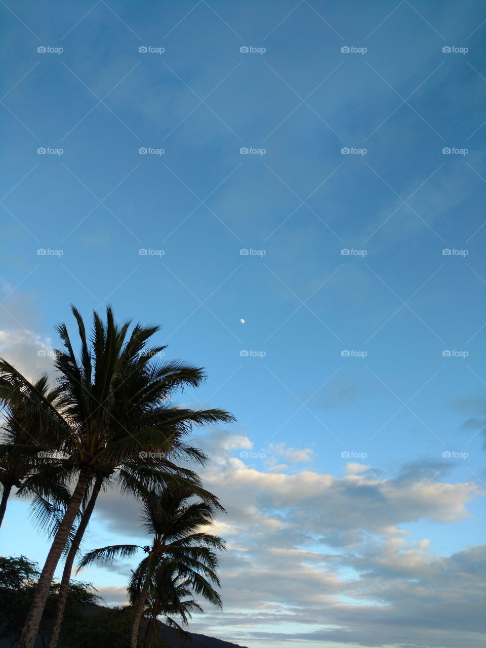 Hawaiian Sky