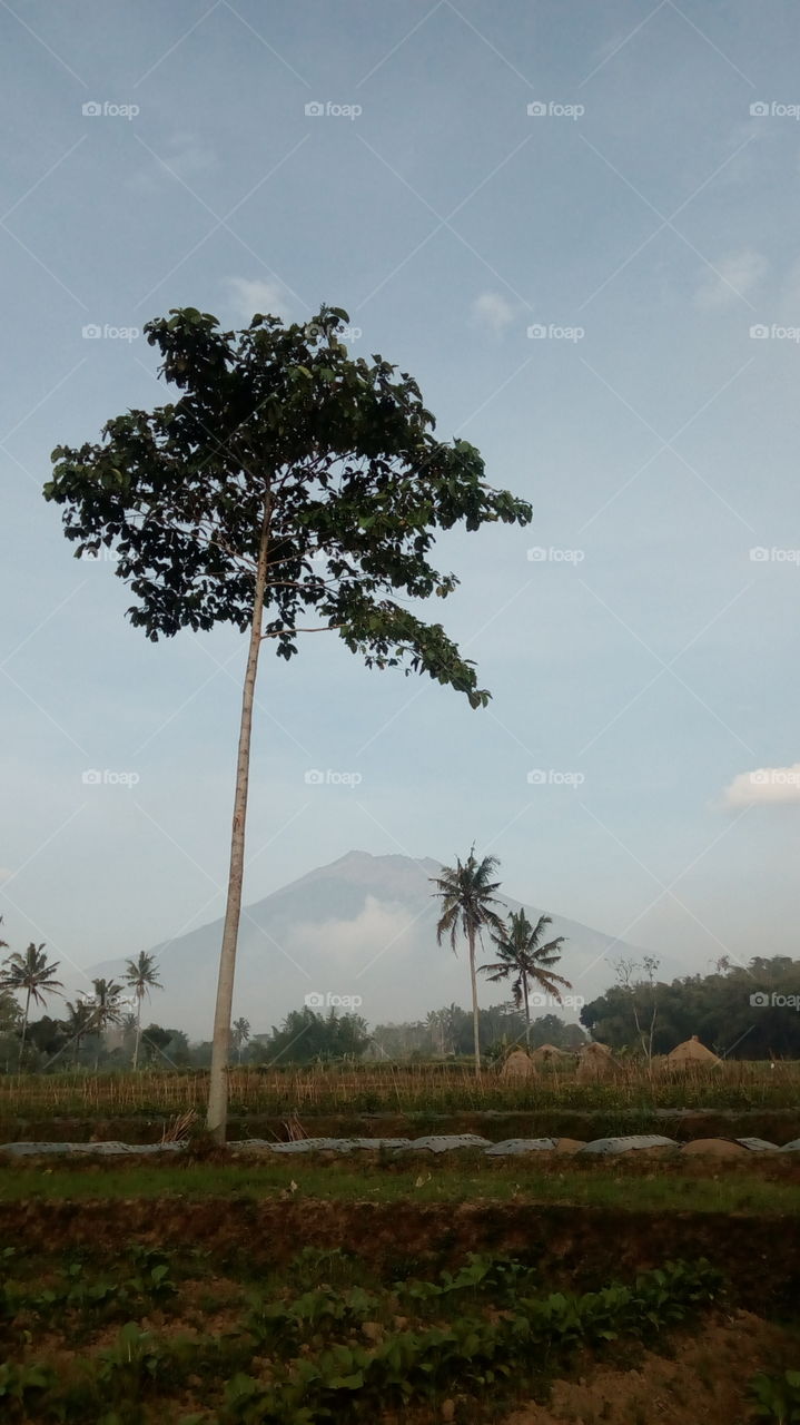 gunung sumbing disana