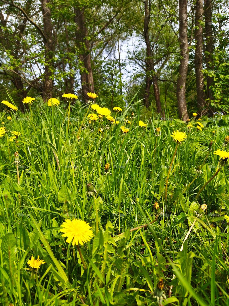 красивая природа