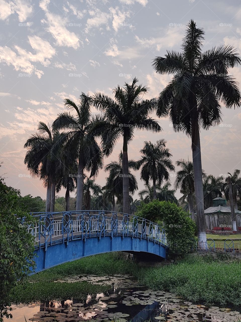 😍🌴🌴🌴🌴🌅🌉👣👣👣👣