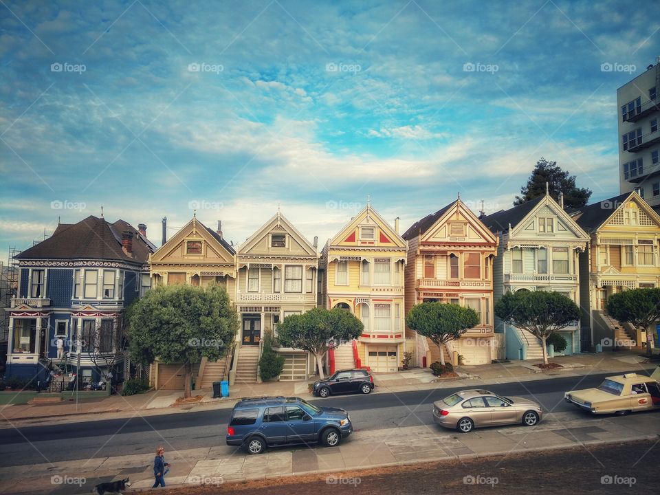 Painted Ladies