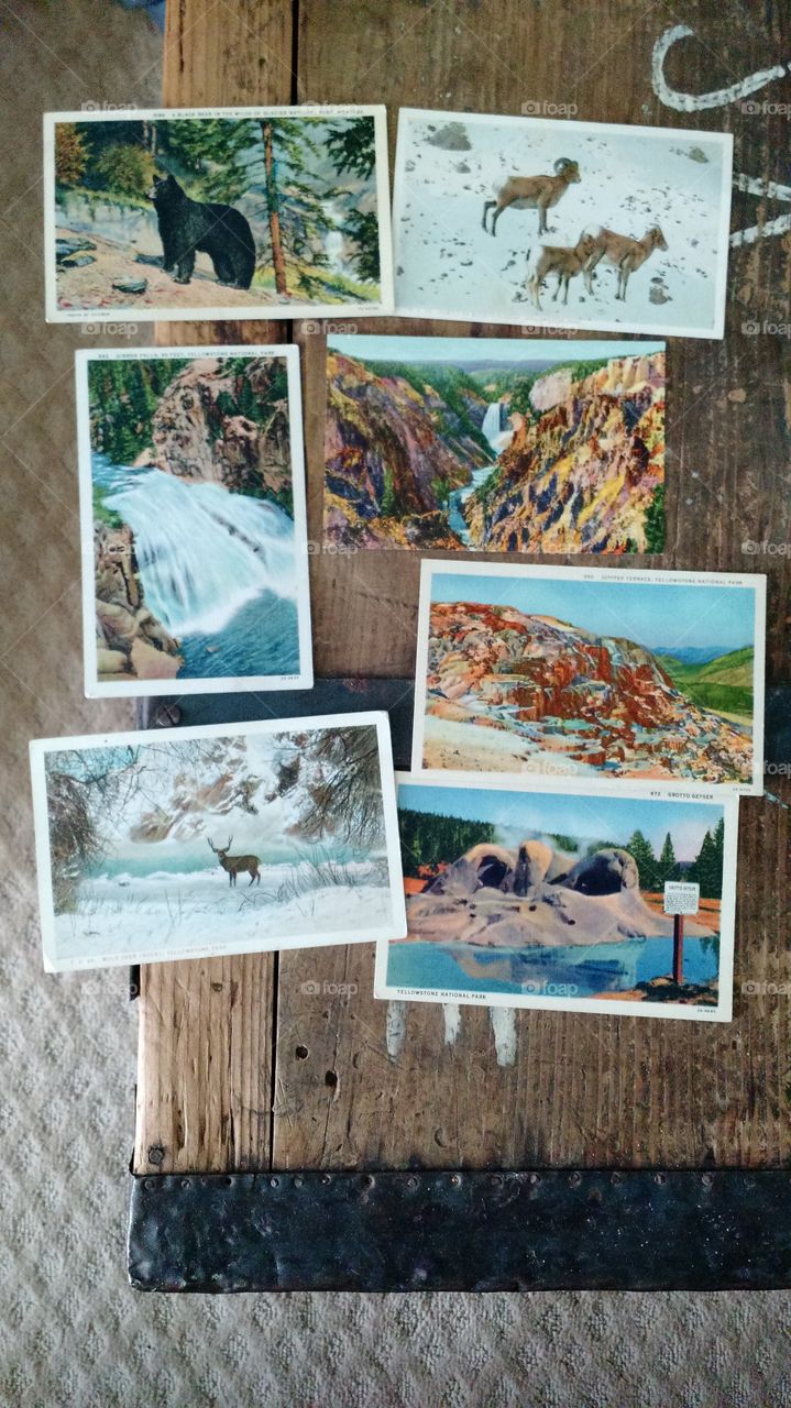 Vintage Postcards