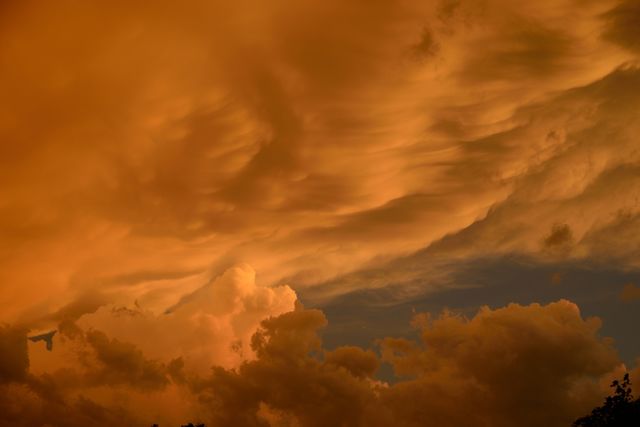 Orange dream