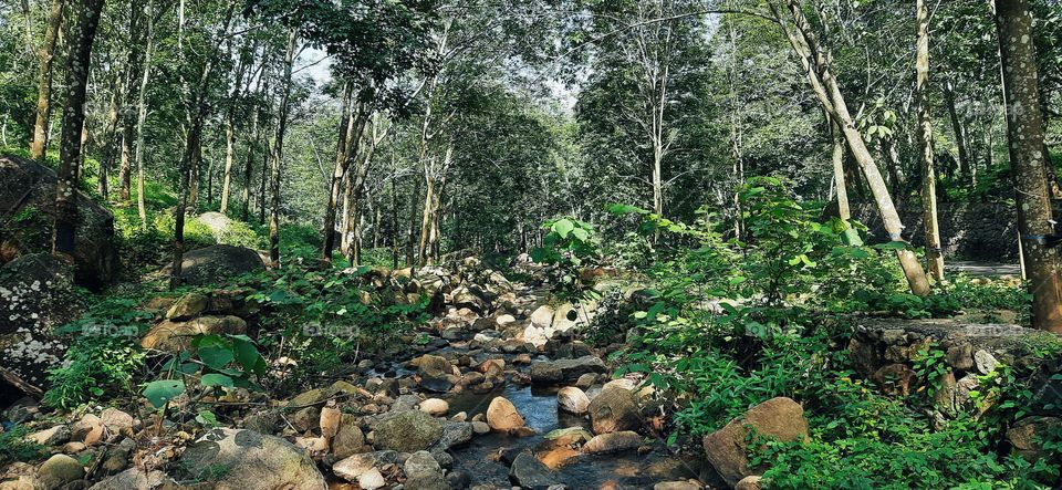 Rock and water...Running water in the forest
