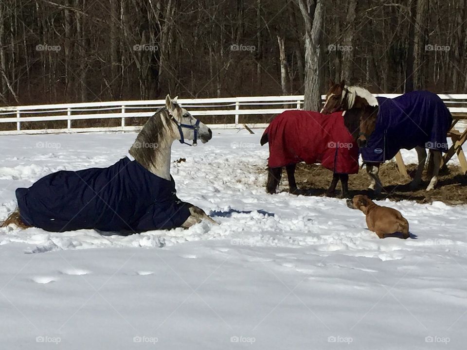 Playing with her big
Brother 