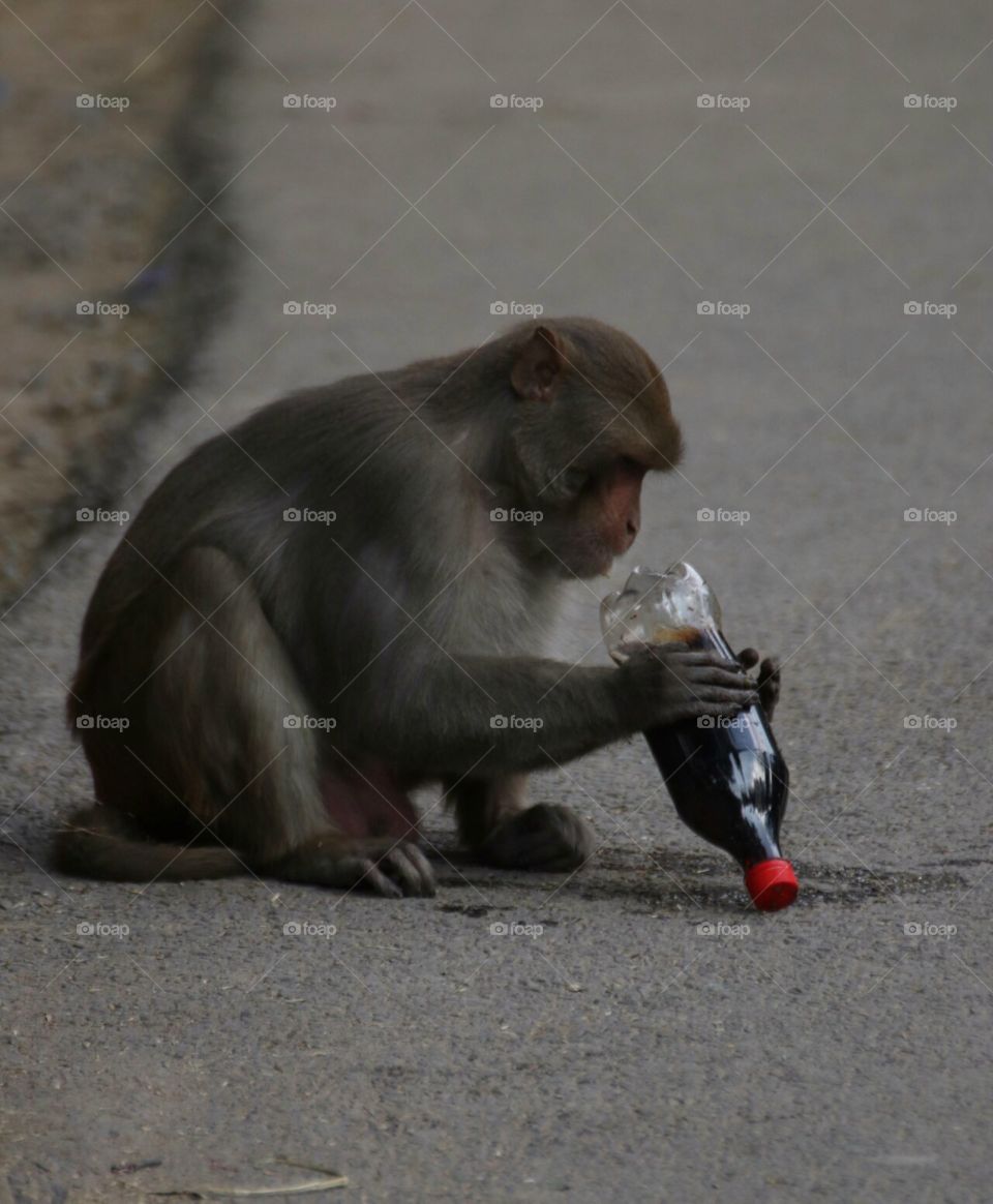 How to open this yammi drink !!