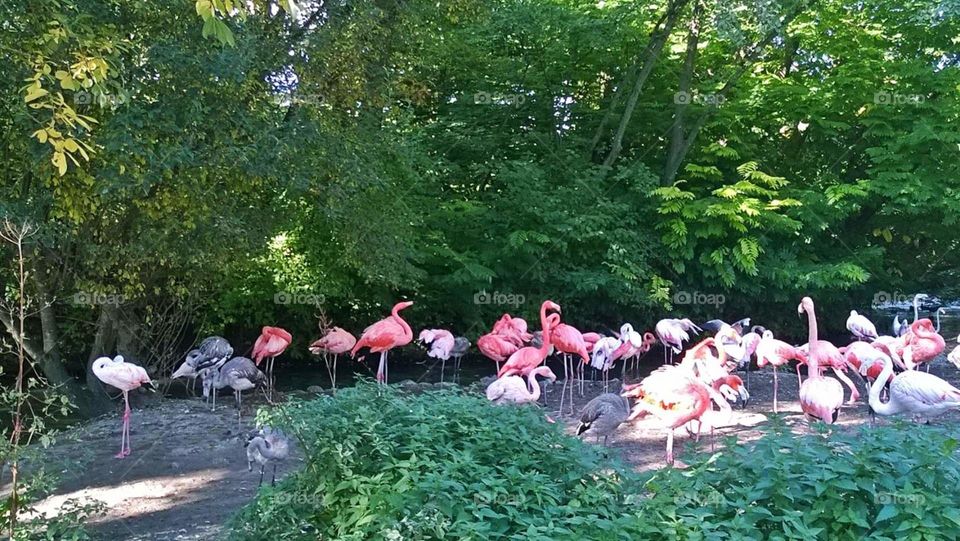 Zoo, Munich