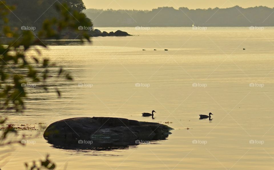 Early morning in Ronneby archipelago, Sweden, Stekön