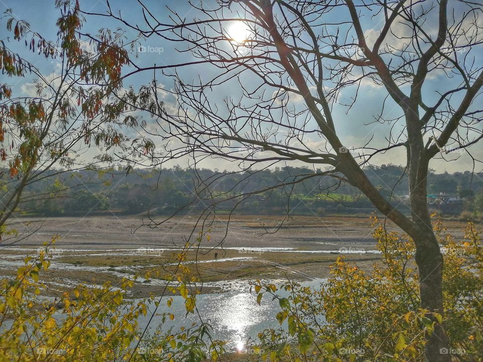 Beautiful scenery of noon, sun shining reflection on river in between of tree branches.