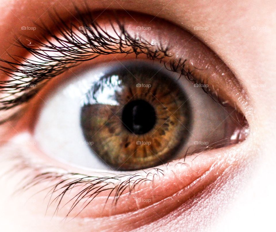 Extreme close-up of human eye