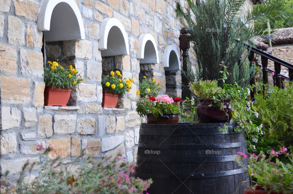 Beautiful House decoration with Plants and Flowers in Bulgaria