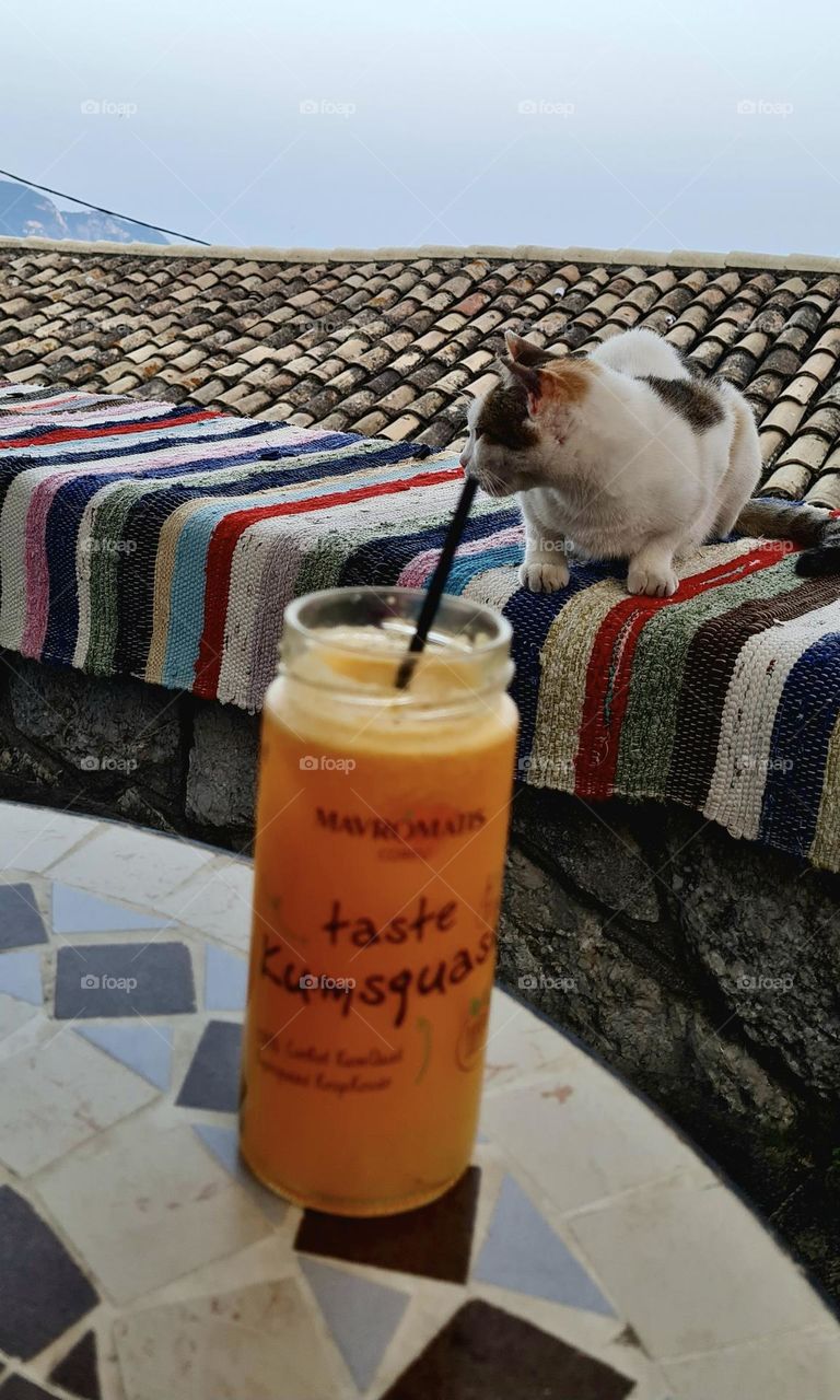 A cat sits on a colorful blanket-covered ledge, with a glass of orange drink in the foreground. The setting includes a tiled roof and a distant view of mountains.