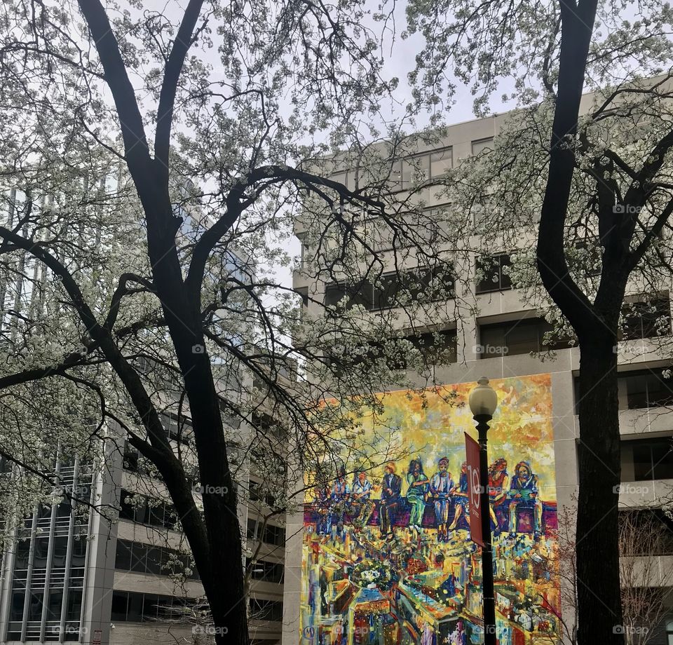 Colorful artwork in DC