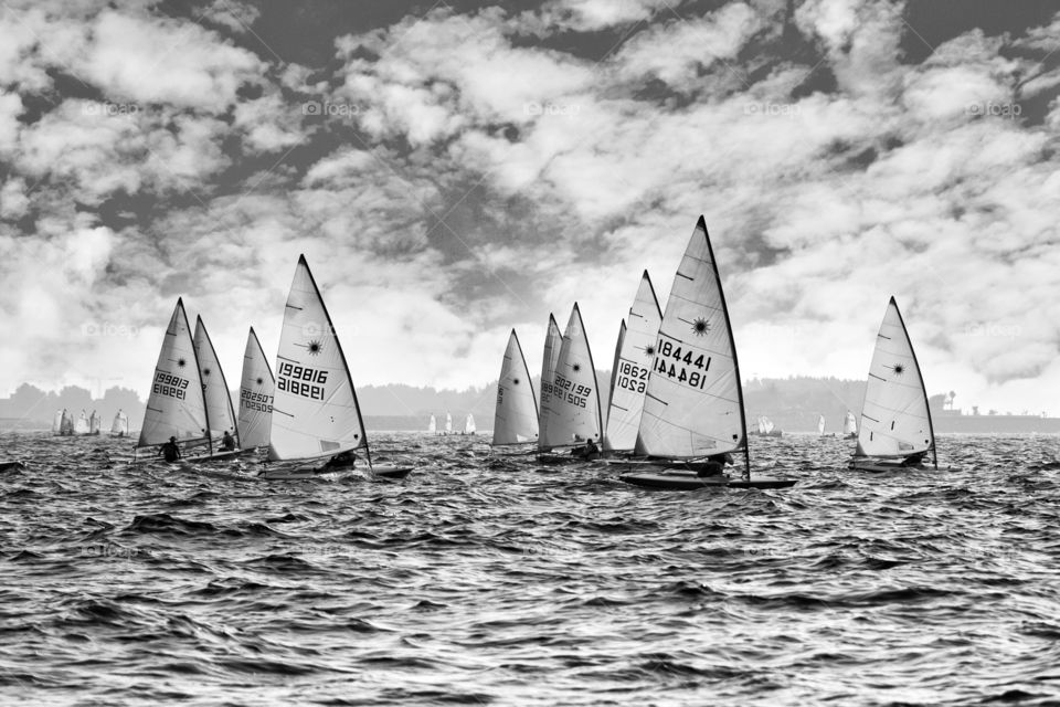 Sailing dhows approaching the city, water sports