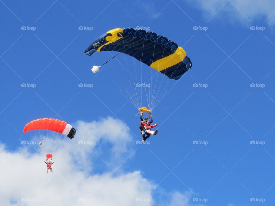 Skydivers