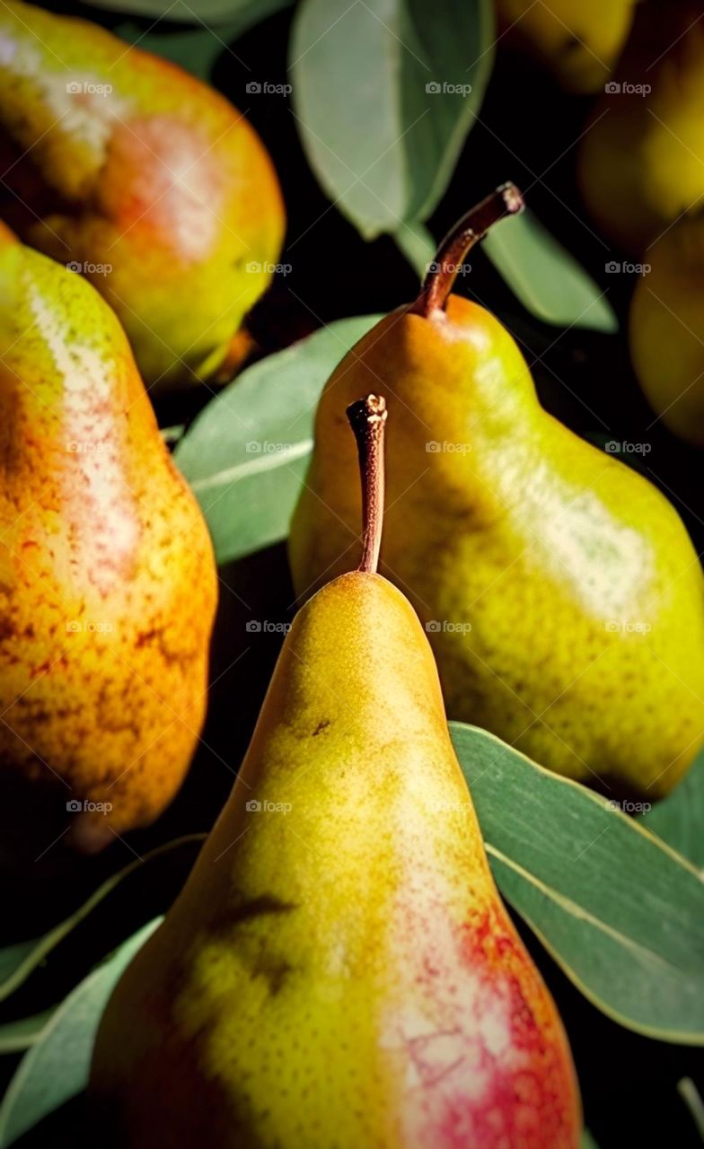 Autumn fruits part 2