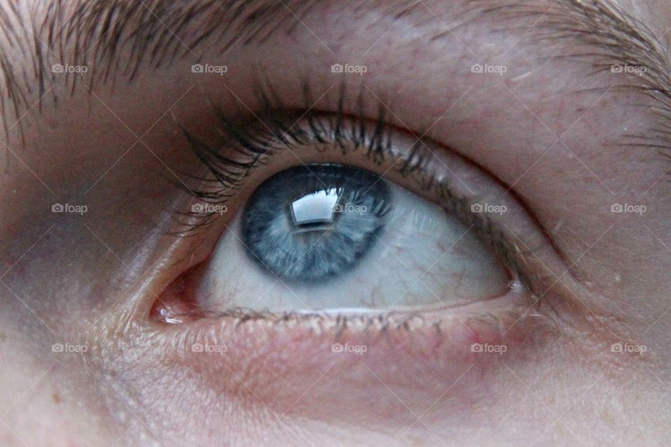 Close-up of eyes with eyebrow