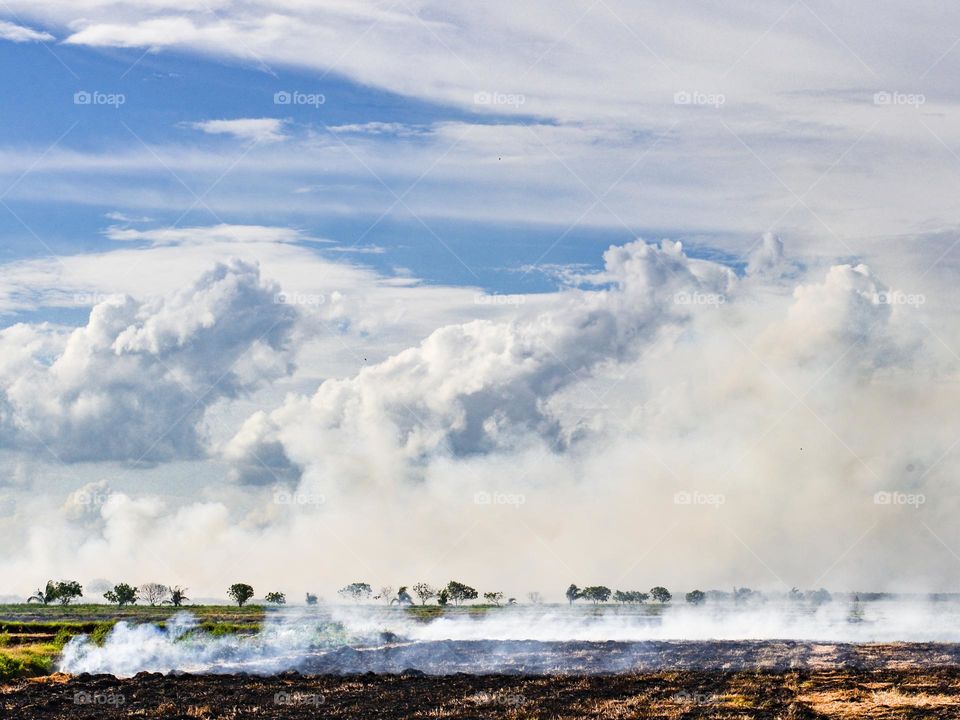 Open burning on harvested rice field in Teluk Intan, Malaysia