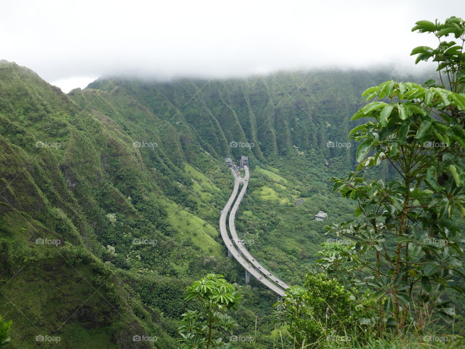 Highway tunnels go thru the Hawaiian green tropical  mountain 