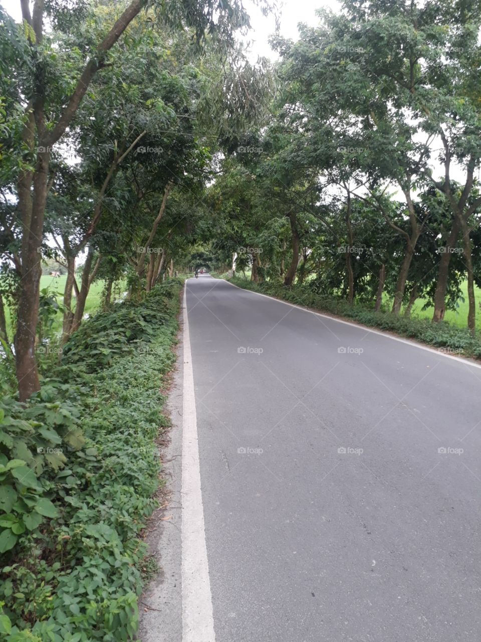 Purdy filled in Indian village