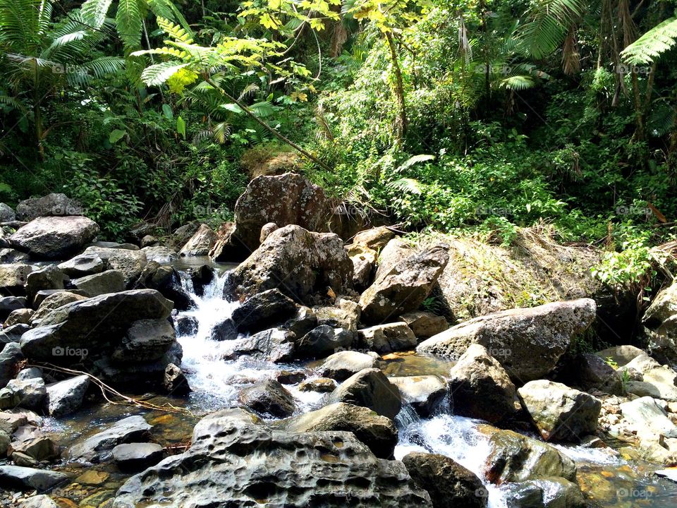 La Mina 2. The stream that leads to La Mina waterfalls in El Yunque, Puerto Rico.