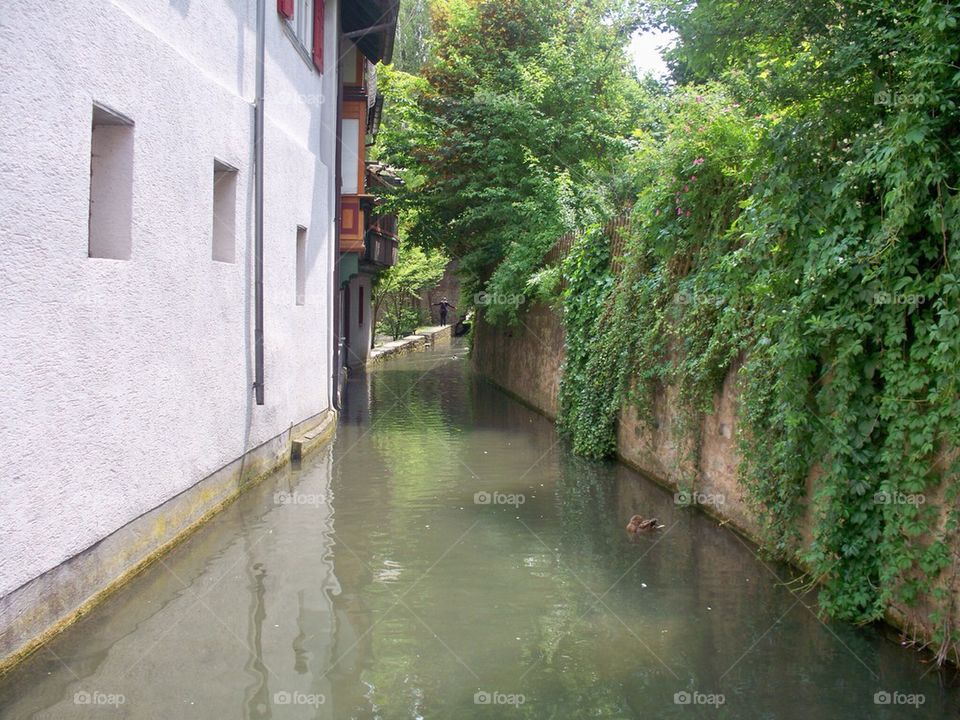 Serenity canal