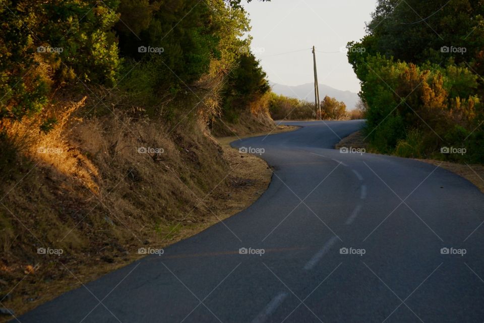 Road in Corsica