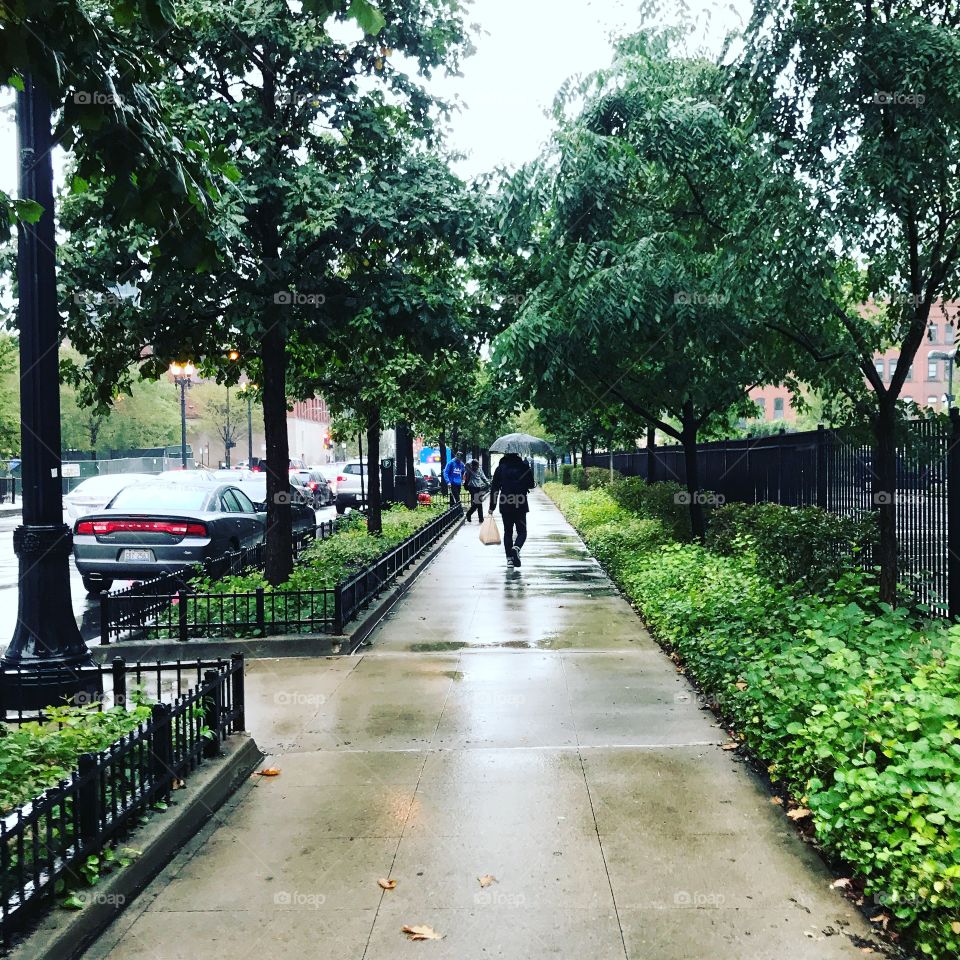 Rainy day stroll in the city