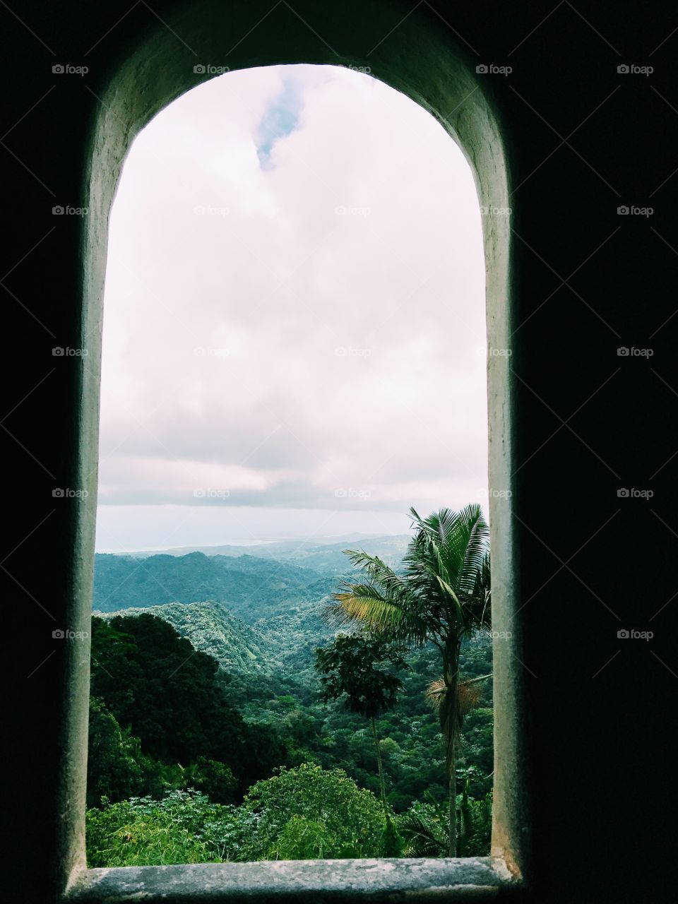 Rainforest in Puerto Rico