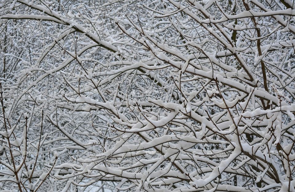 Desktop, Frost, Pattern, Texture, Abstract