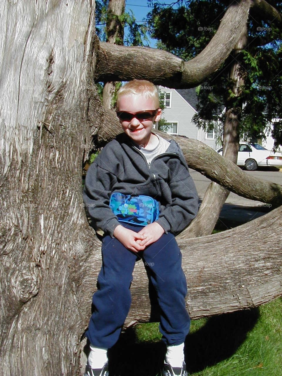 Boy in tree