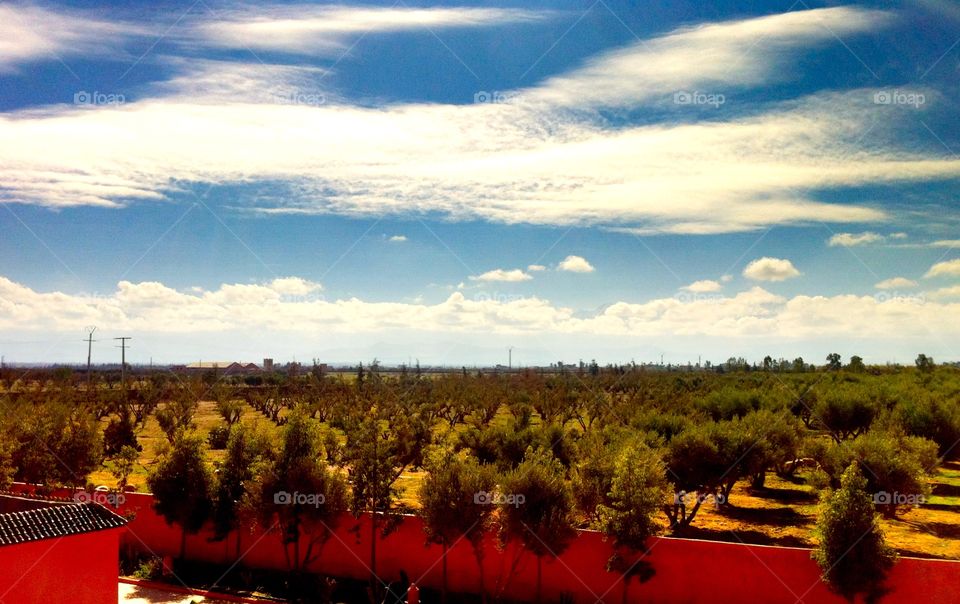 Moroccan Resort view