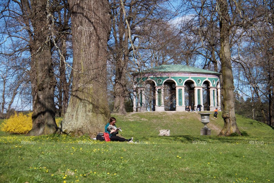 Spring in Haga park . Spring in Haga park, Stockholm, Sweden 