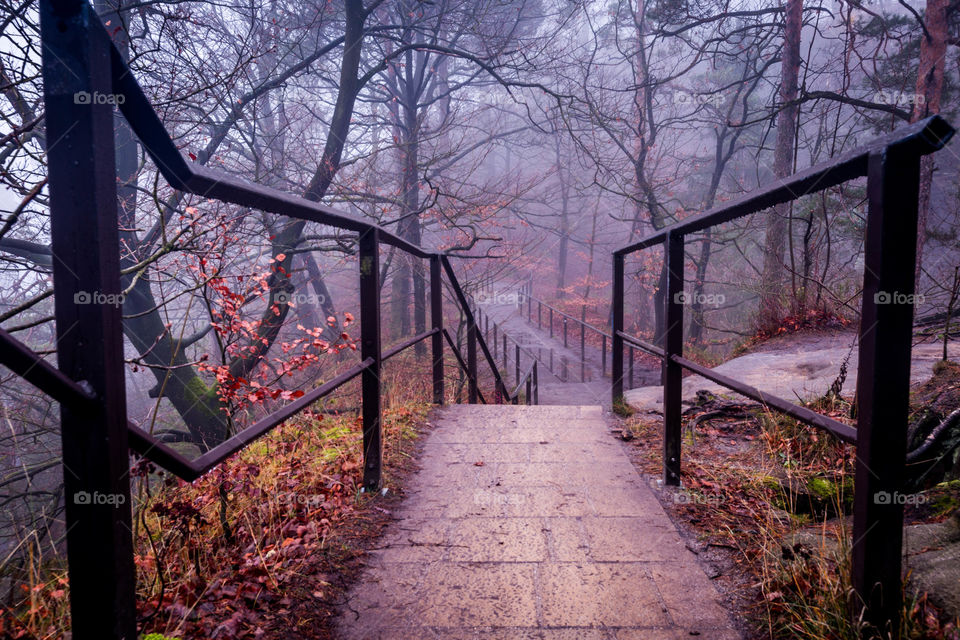 Winter Walk